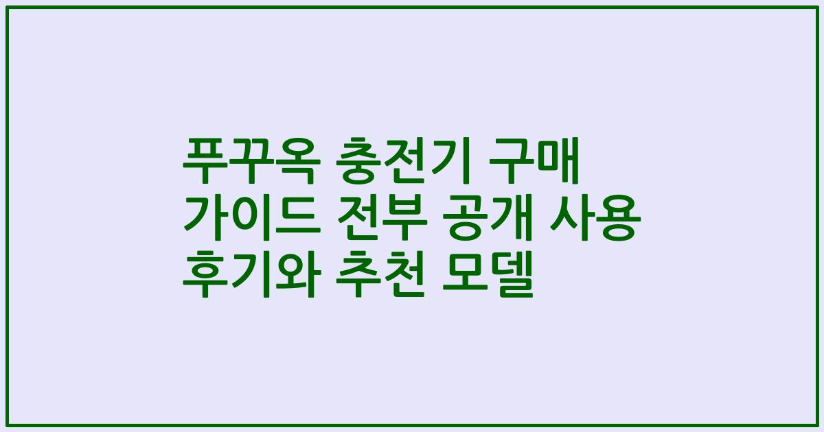 푸꾸옥 충전기 구매 가이드 전부 공개 사용 후기와 추천 모델